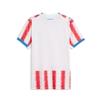 Puma Paraguay 2026 Home Jersey
